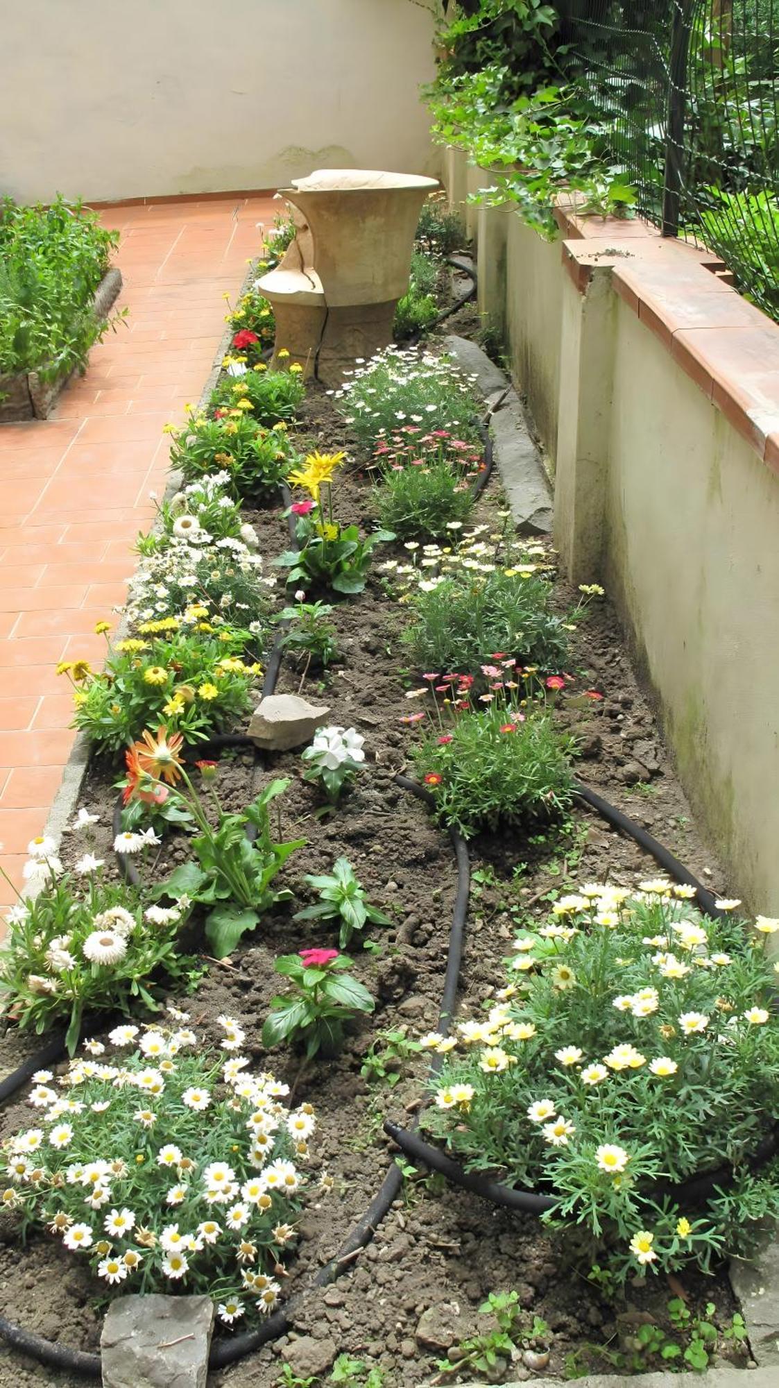 Le Petit Jardin Center * Florencia